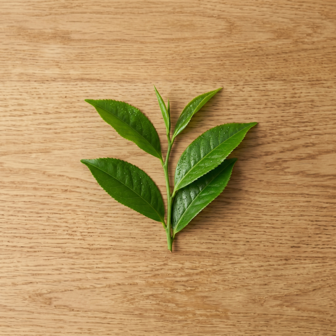 Takje met groene thee bladeren.